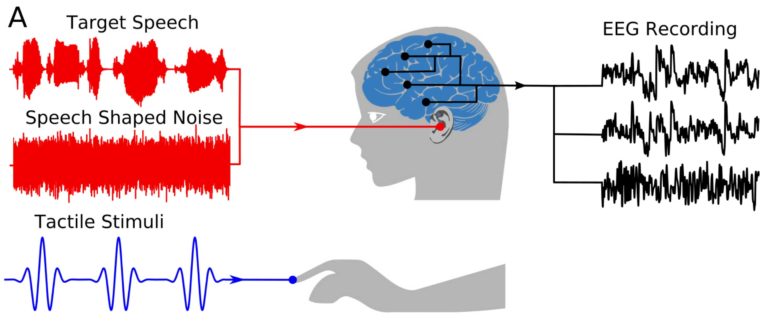 Speech enhancement through vibrotactile stimulation