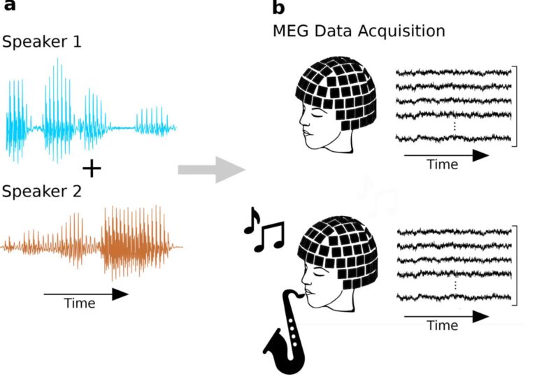 (No) influence of musical training on neural responses to speech